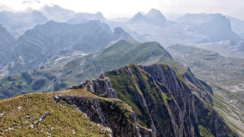 How to Generate a README with Gitdocs AI